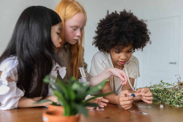 Three girls examining plant structures with microscope