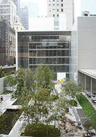 Inner courtyard with trees that are surrounded by tall white buildings.