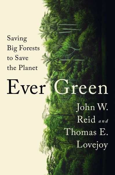 image of the cover of the book, Ever Green