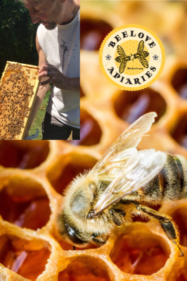an image of a bee in a bee hive and a person managing the beehive and his bee log, "Bee Love"
