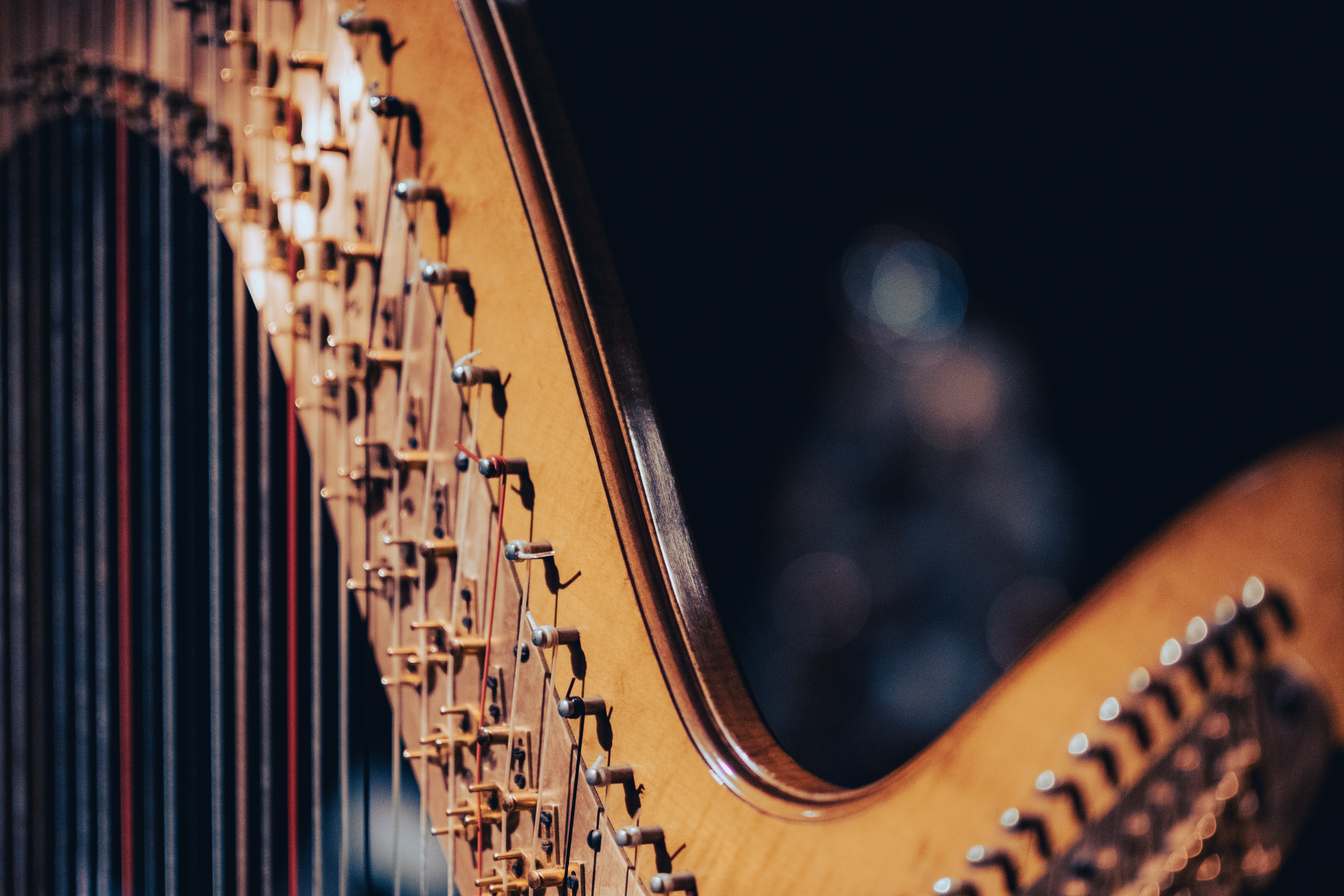 a close up image of a harp