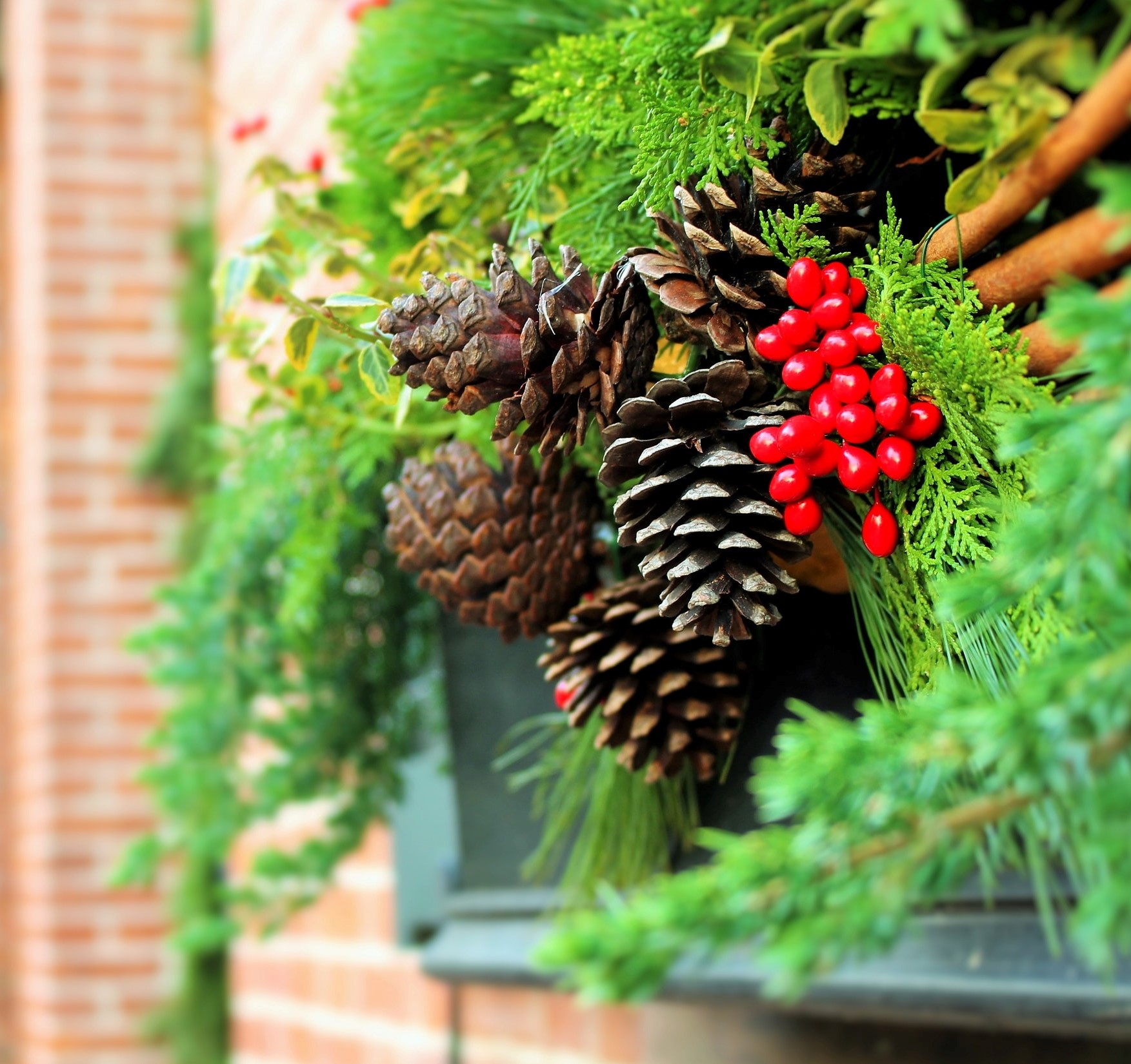 A holiday planter on the outside of a building