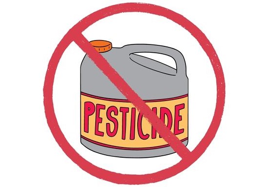 an illustration of a bottle of pesticide with a red slash around it