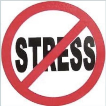 an image of the word stress with the universal sign of "not allowed"