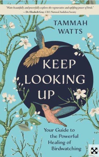 image of the book, "Keep Looking Up"