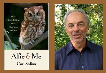 image of the book, Alfie & Me by Carl Safina, and the author, Carl