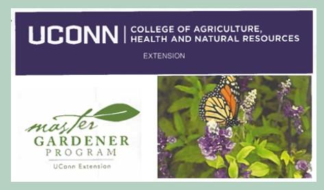 image of the logo of the UCONN Master Gardeners