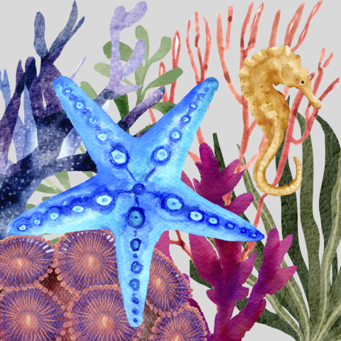 watercolor starfish and seahorse 