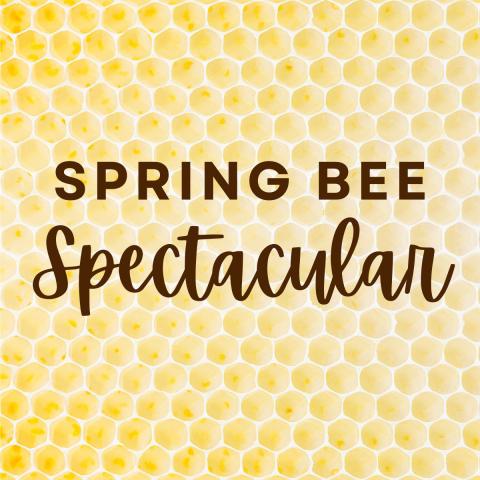 "Spring Bee Spectacular" on a honeycomb background