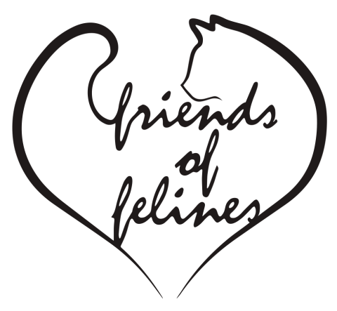 Friends of Felines logo, featuring the words "Friends of Felines" in cursive, surrounded by a minimalist line drawing of a cat whose tail forms a heart around the text. 