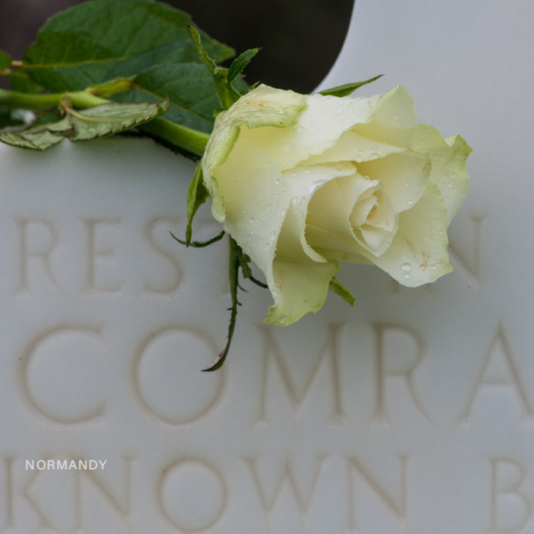 Photograph by Richard Sherman