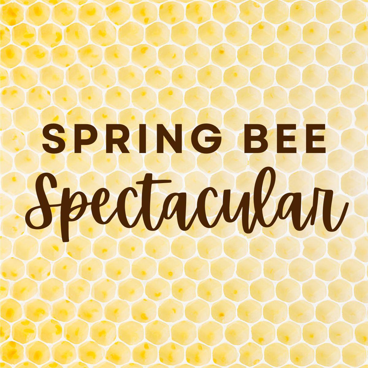 "Spring Bee Spectacular" on a honeycomb background