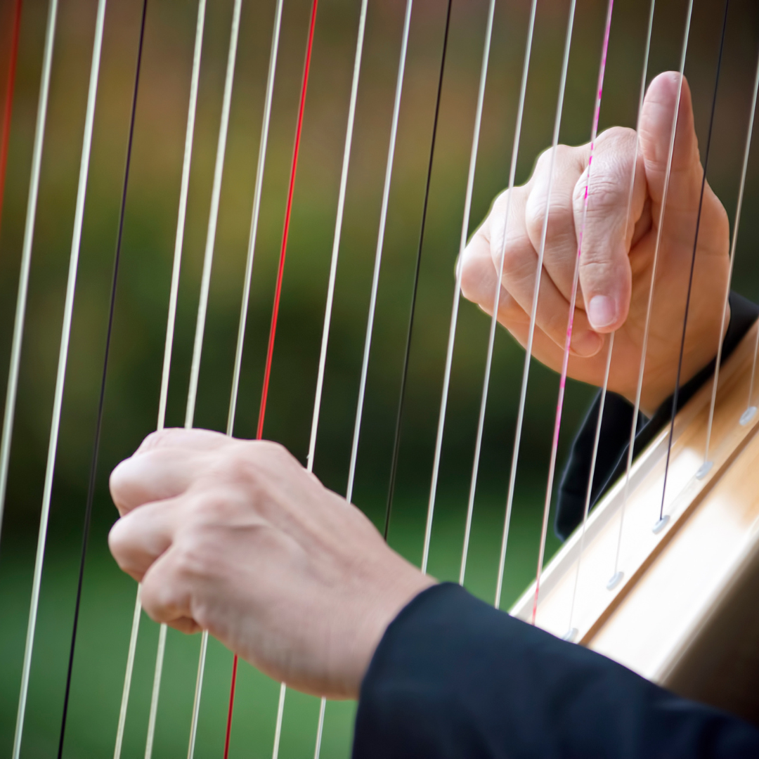 person playing harp