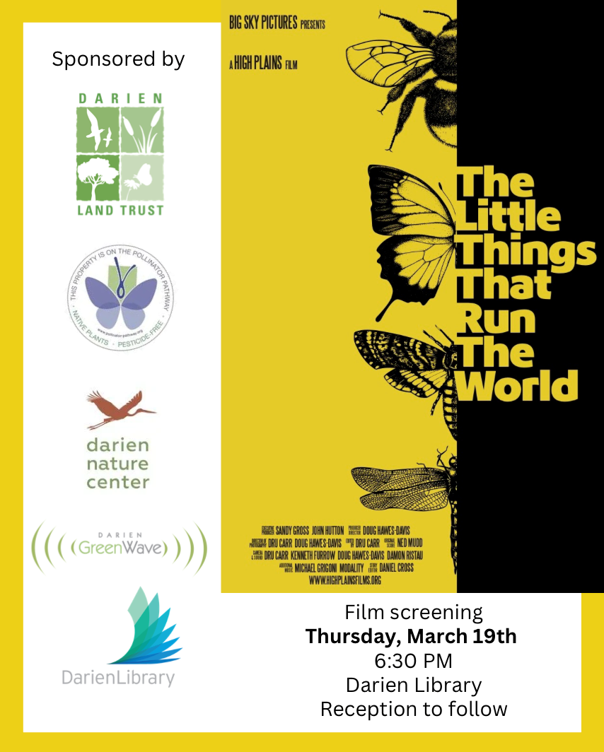 image of the film, The Little Things That Run the World