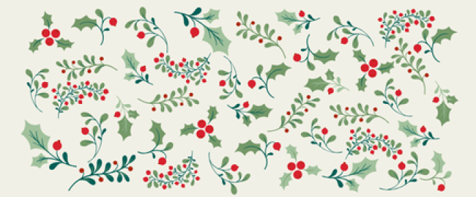 Holly branches and berries