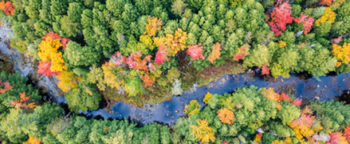 A photo of Alder Stream Wilderness Preserve by Jerry Monkman.