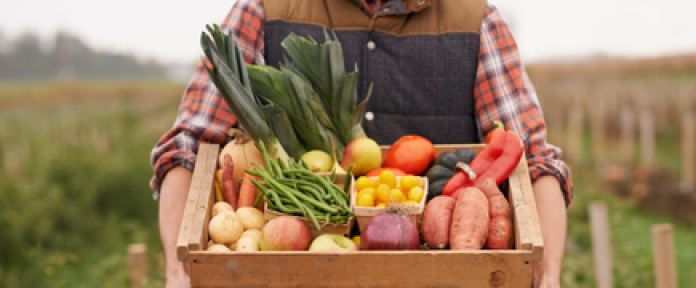 Photo of a person holding a crate full of vegetables.