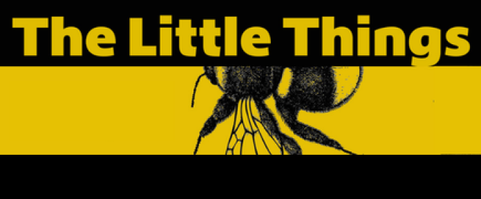The Little Things with an illustration of a bee